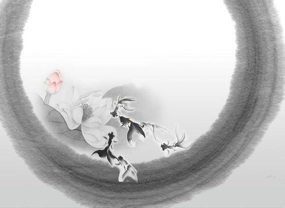 佳能n2怎么样